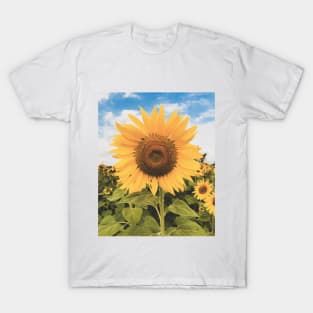 Sunflowers and blue sky T-Shirt